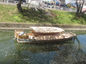 五条川の桜・舟１.JPG
