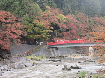 巴川・赤い橋３.JPG