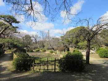 庭園.JPG