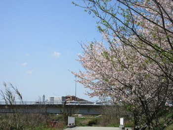本地橋・１.JPG
