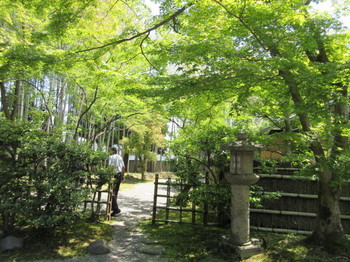 松花堂庭園・１７.JPG