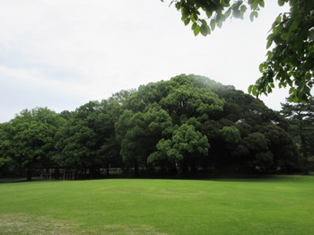 森林公園・３.JPG