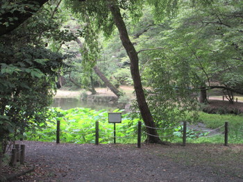 森林公園・５.JPG