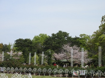 鶴舞公園.JPG