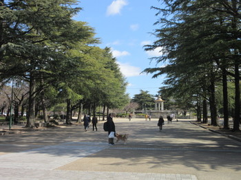 鶴舞公園・１.JPG