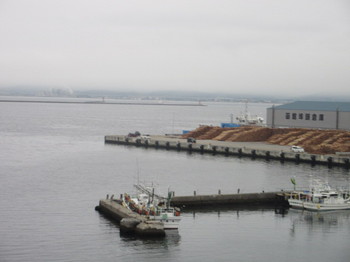 １・朝の函館港.JPG