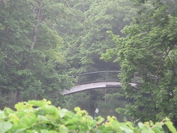 ２・大沼公園橋.JPG