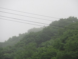 ３・山に霧.JPG